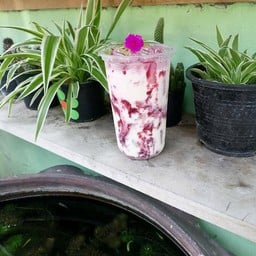 สายลับ คาเฟ่ หมู่บ้านรีเจนซี่