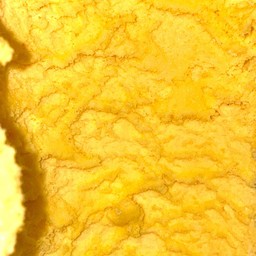 เสาวรส special มีแค่อาทิตย์นี้