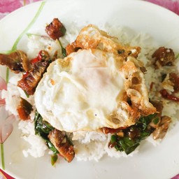 ข้าวราดกระเพาหมูกรอบ +ไข่ดาว