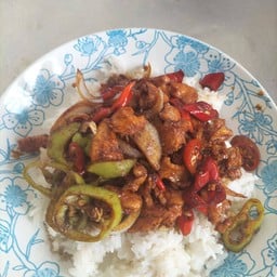 ผัดพริกสดไก่ราดข้าว