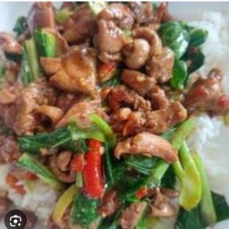 ข้าวคะน้าเครื่องในไก่