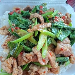 ผัดคะน้า (ราดข้าว)