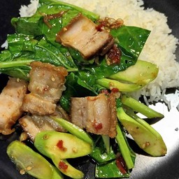 ผัดคะน้าราดข้าว