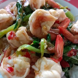 กระเพรากุ้งราดข้าว