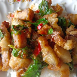 กระเพราหมูกรอบราดข้าว