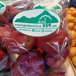 ชมพู่ทับทิมจันทร์