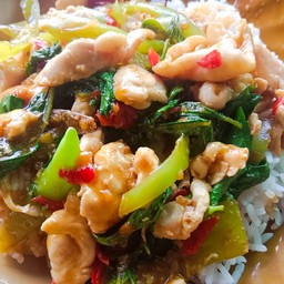 กระเพราไก่ราดข้าว