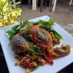 ข้าวผัดกระเพราหมูสับไข่เยี่ยวม้า