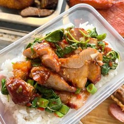 ข้าวกะเพราหมูแดง