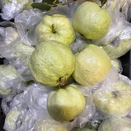 ฝรั่งกิมจู