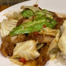 ข้าวราดผัดกะหล่ำ