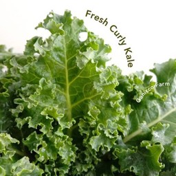 Curly Kale 250G.