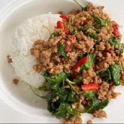 กระเพรา หนูมาลี