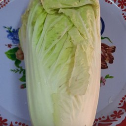 ผัดกาดขาว