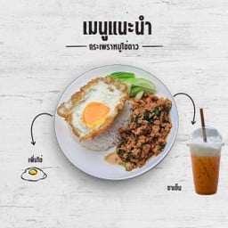 ชาช่า ผัดกะเพรา