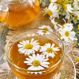 น้ำเก๊กฮวย