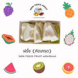 ฝรั่งกิมจู พร้อมทาน 300 g (เกรดดี)