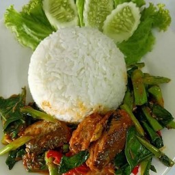 ผัดคะน้าปลากระป๋องราดข้าว