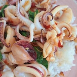ข้าวกระเพราปลาหมึก
