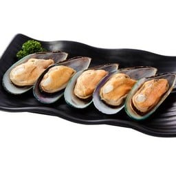 หอยแมลงภู่นิวซีแลนด์