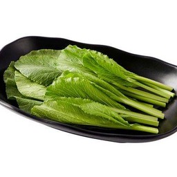 ผักกวางตุ้ง