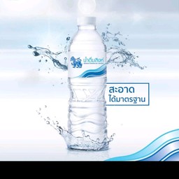 น้ำดื่มสิงห์600ml 1ขวด