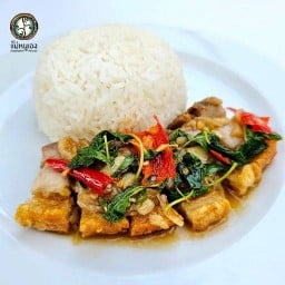 ข้าวหมูกรอบผัดกระเพรา (2-19)