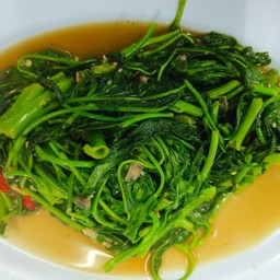 ผักบุ้งไฟแดง