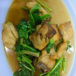 ปลากะพงผัดคึ่นฉ่าย