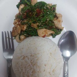 ข้าวกะเพราไก่