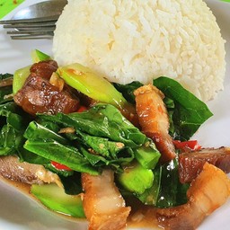 ข้าวราดคะน้าหมูกรอบ