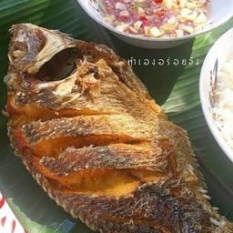 ข้าวปลานิลทอด
