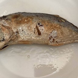 ปลาทูทอด
