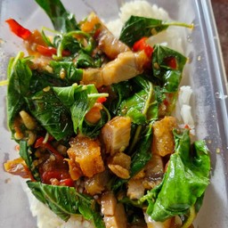 ข้าวกระเพราหมูกรอบ