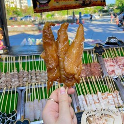 สันในไก่