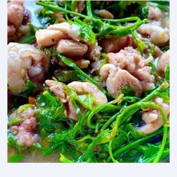 อ่อมไก่ผักหวาน