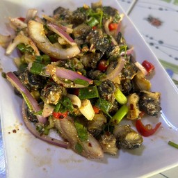 ก้อยหอยโข่ง