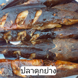 ปลาดุกย่าง