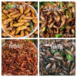 แมลงทอด