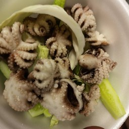 หมึกสายลวดจิ้ม