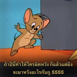 ไข่ดาว