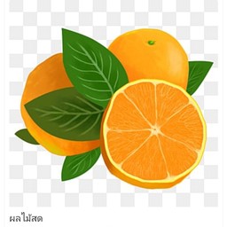 ทานเล่นเล่นของทอด ไม่มีสาขา