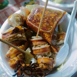 ตัวไข่แท้