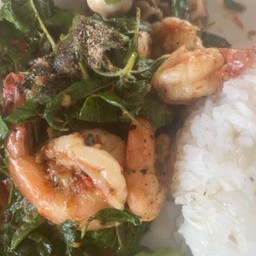 กะเพราแท้กุ้ง