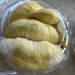 ร้าน ทุเรียนหมอนทองจันทบุรี วิสต้า ติด7-11