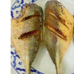 ปลาสีกุลแดดเดียว1 ตัว