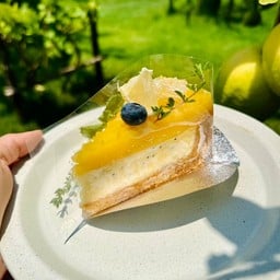 เลม่อนฮันนี่ชีสเค้ก