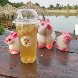 น้ำลำไย