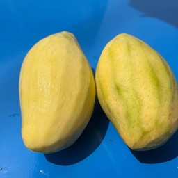 มะม่วงลูก