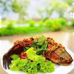 ปลาช่อนลุยสวน